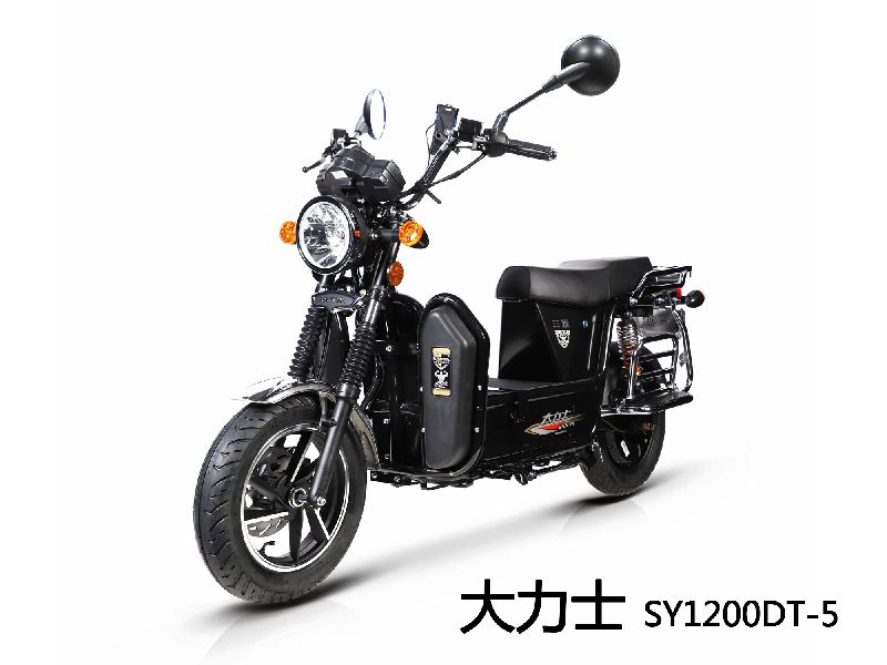 三雅SY1200DT-5电动摩托车大力士 SY1200DT-5图册