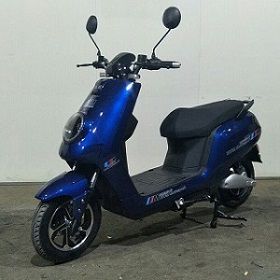 致骑 
 ZQ1000DQT-A电动摩托车