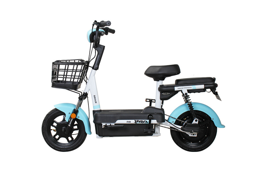 赛克 
 GB-乐琪-1电动自行车